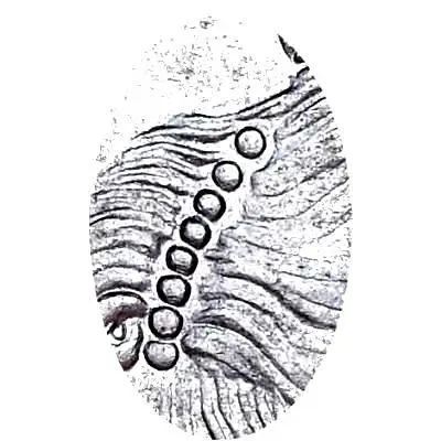 1 рубль 1734, тип 1734 года, голова меньше(переходный портрет), крест короны разделяет надпись, 8 жемчужин в волосах