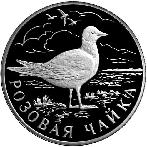 1 Ruble 1999, SPMD, Seagull Proof