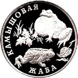 1 рубль 2004, СПМД, жаба Proof