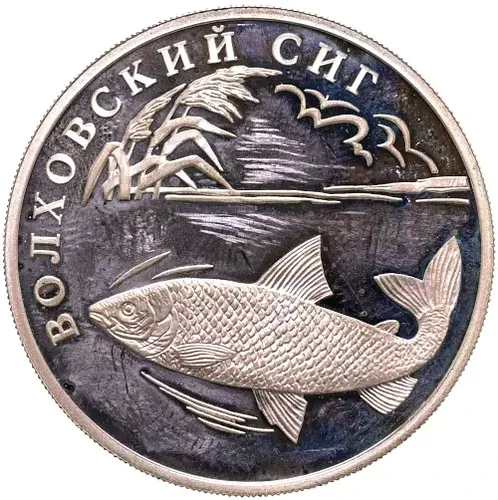 1 рубль 2005, СПМД, сиг Proof