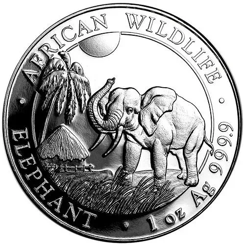 100 шиллингов 2017, слон [Сомали]