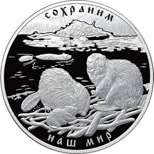 100 рублей 2008, СПМД, бобр, Серебро