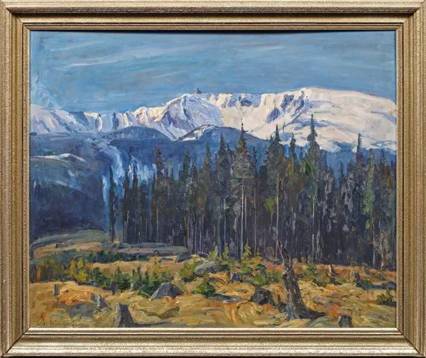 "Вид Заснеженных Лощин"