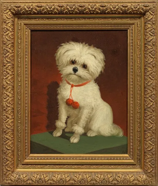 Маленький портрет Малитийца: Вена - Грац