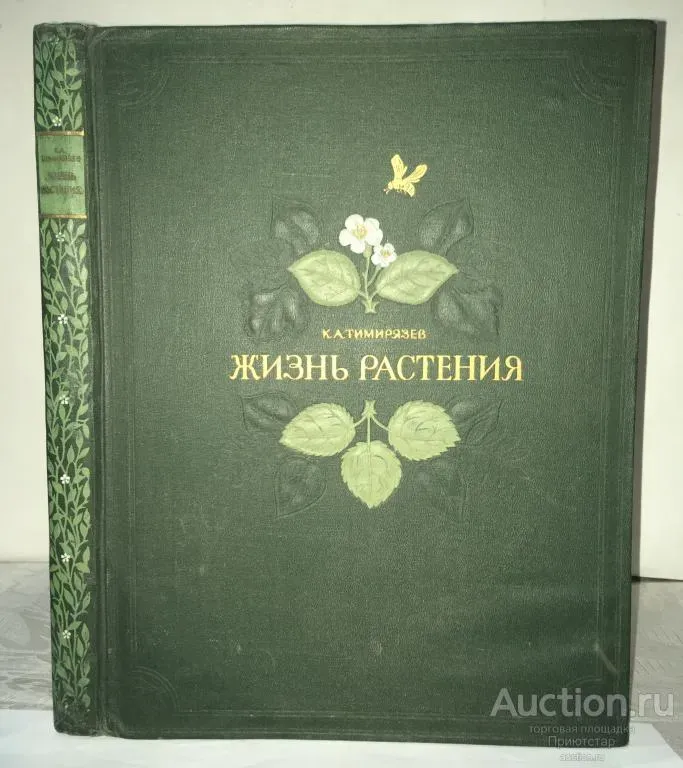 Старая книга